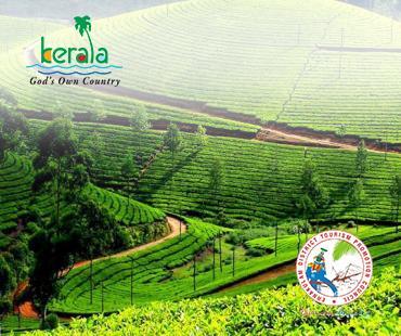 02 Days Weekend Munnar Delight Package